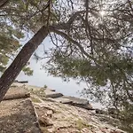 Napoleon Jelsa (Hvar)