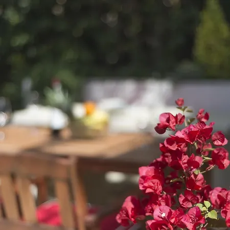 Apartment Napoleon Jelsa (Hvar)