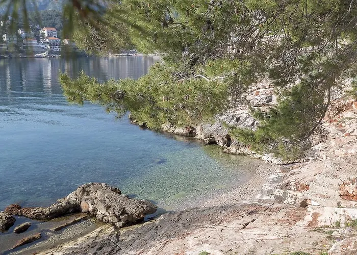 Napoleon * Jelsa (Hvar)